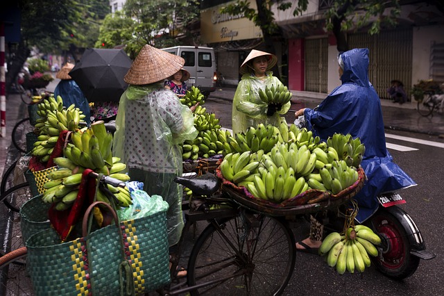 hanojský trh